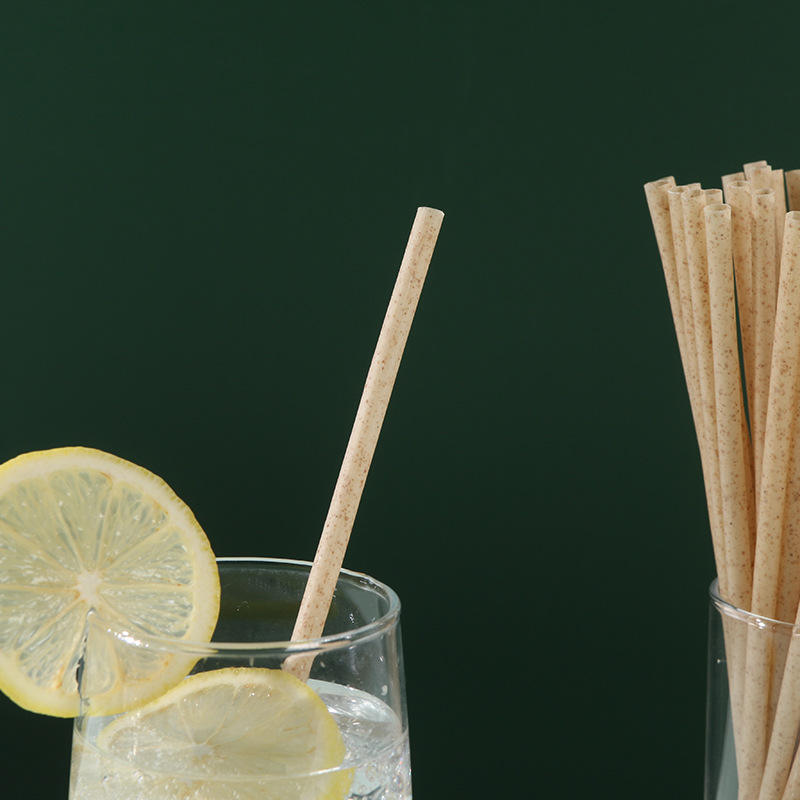 Compostable Sugarcane Drinking Straw